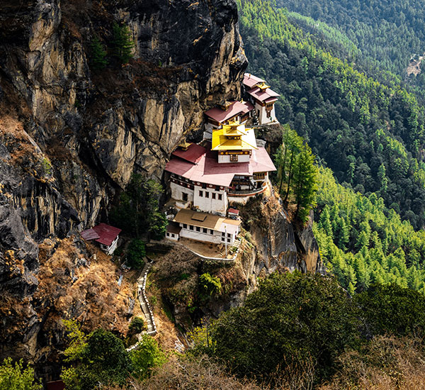 Colors of Bhutan Delight Tour